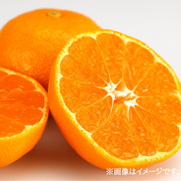 和歌山県産 有田みかん S-L3kg箱 商品画像(1)